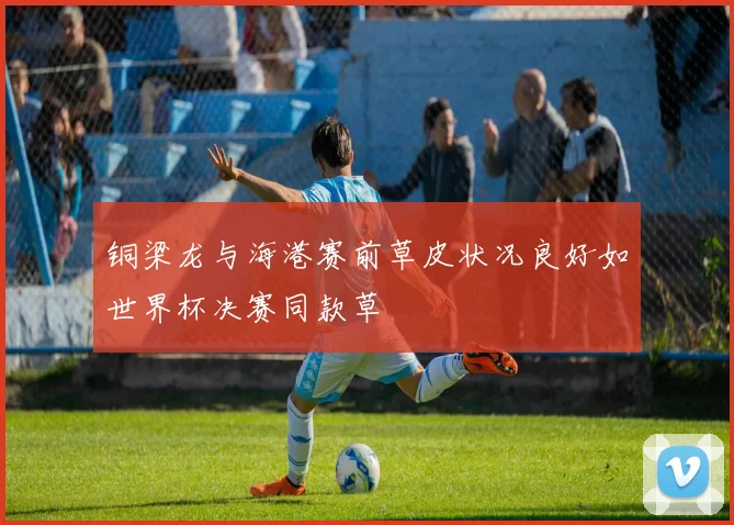 铜梁龙与海港赛前草皮状况良好如世界杯决赛同款草
